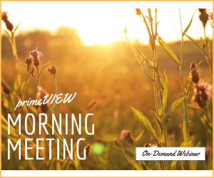 primeVIEW Morning Meeting